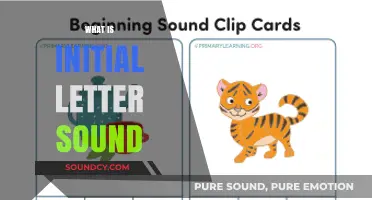 Understanding Initial Letter Sounds: A Beginner's Guide to Phonics Basics