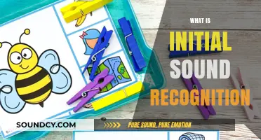 Mastering Initial Sound Recognition: A Key Step in Early Literacy Development