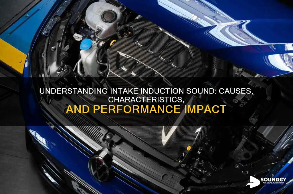 what is intake induction sound