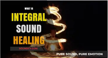 Exploring Integral Sound Healing: Harmonizing Mind, Body, and Spirit Naturally