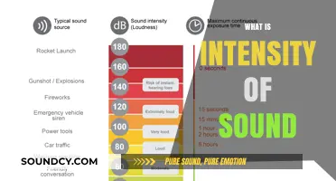 Understanding Sound Intensity: Decibel Levels and Their Impact Explained
