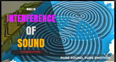 Understanding Sound Interference: Causes, Effects, and Real-World Applications
