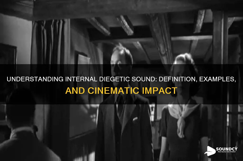 what is internal diegetic sound