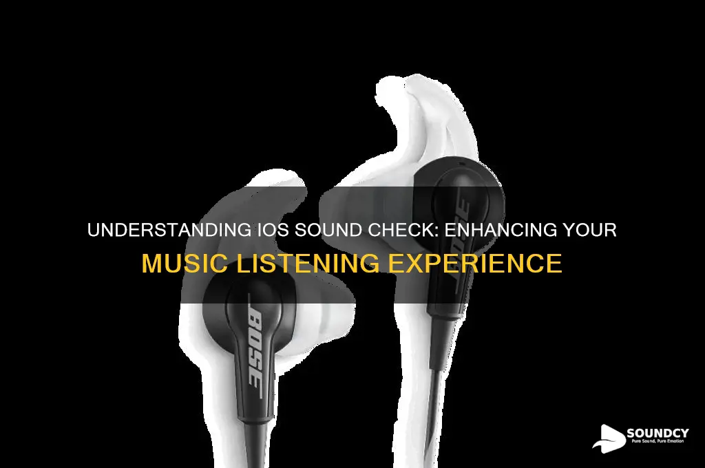 what is ios sound check