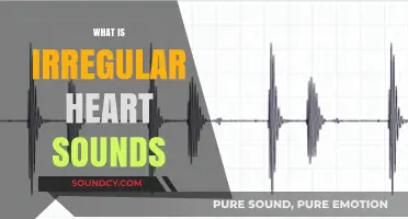 Understanding Irregular Heart Sounds: Causes, Symptoms, and Diagnosis Explained