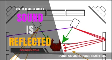 Understanding Echo: The Science Behind Sound Reflection Explained