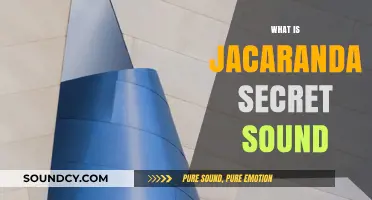 Unveiling the Mystery: What is Jacaranda's Secret Sound?