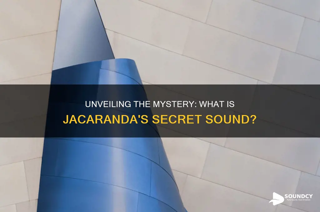 what is jacaranda secret sound