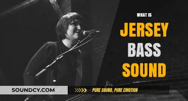 Exploring Jersey Bass Sound: Origins, Characteristics, and Cultural Impact