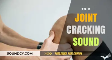 Understanding the Science Behind Joint Cracking Sounds and Their Causes