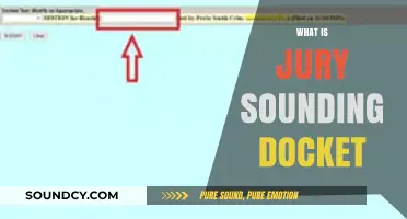 Understanding Jury Sounding Docket: Purpose, Process, and Importance Explained