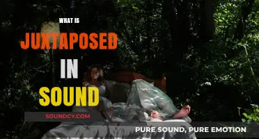Exploring Juxtaposition in Sound: Contrasting Elements and Their Impact