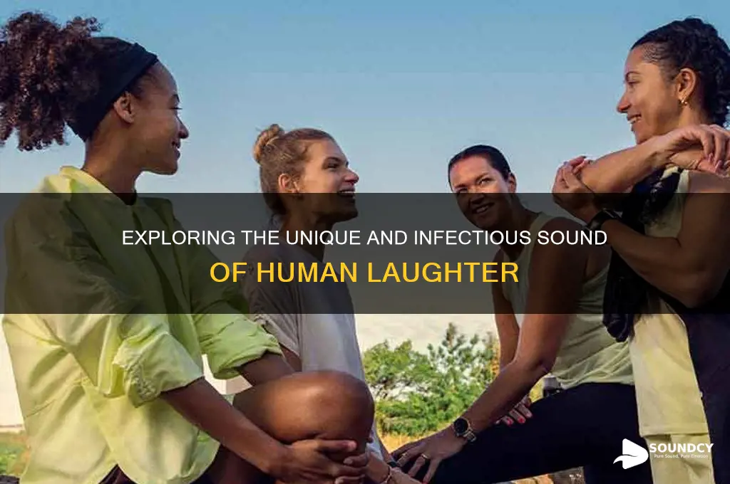 what is laughing sound like