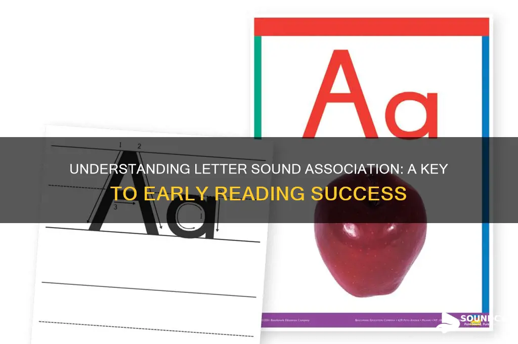 what is letter sound association