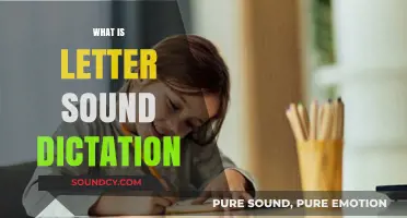 Mastering Letter Sound Dictation: A Beginner's Guide to Phonics and Spelling