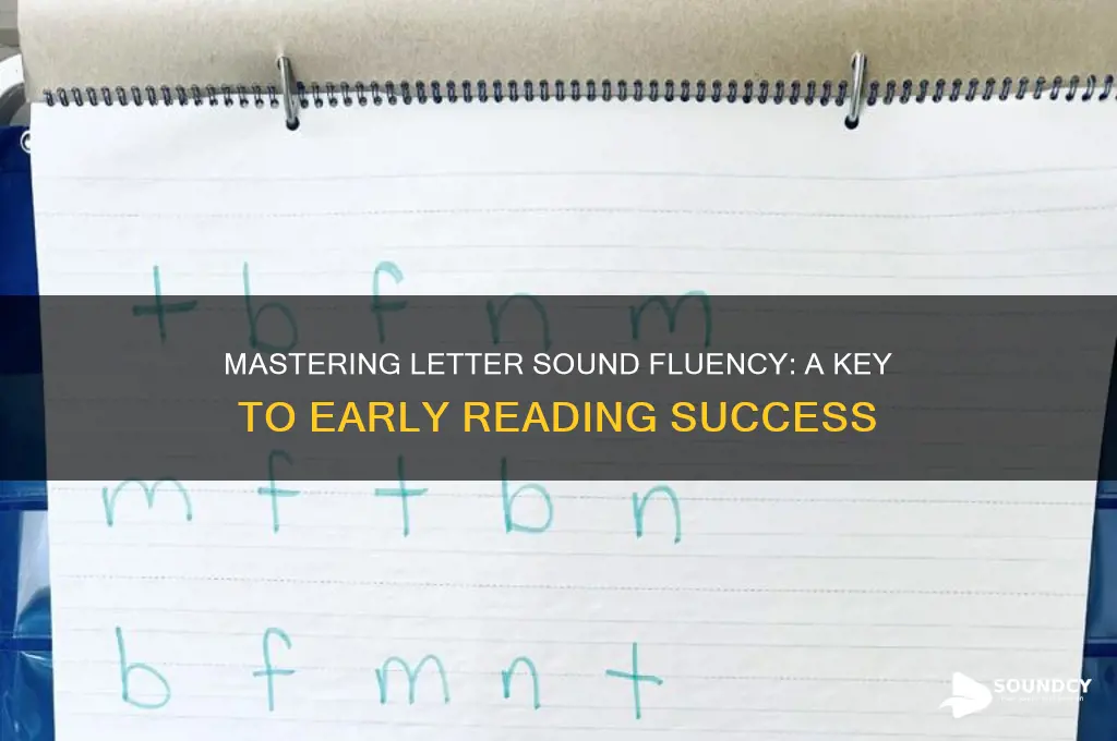 what is letter sound fluency