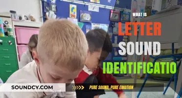 Mastering Letter Sound Identification: A Key Step in Early Literacy