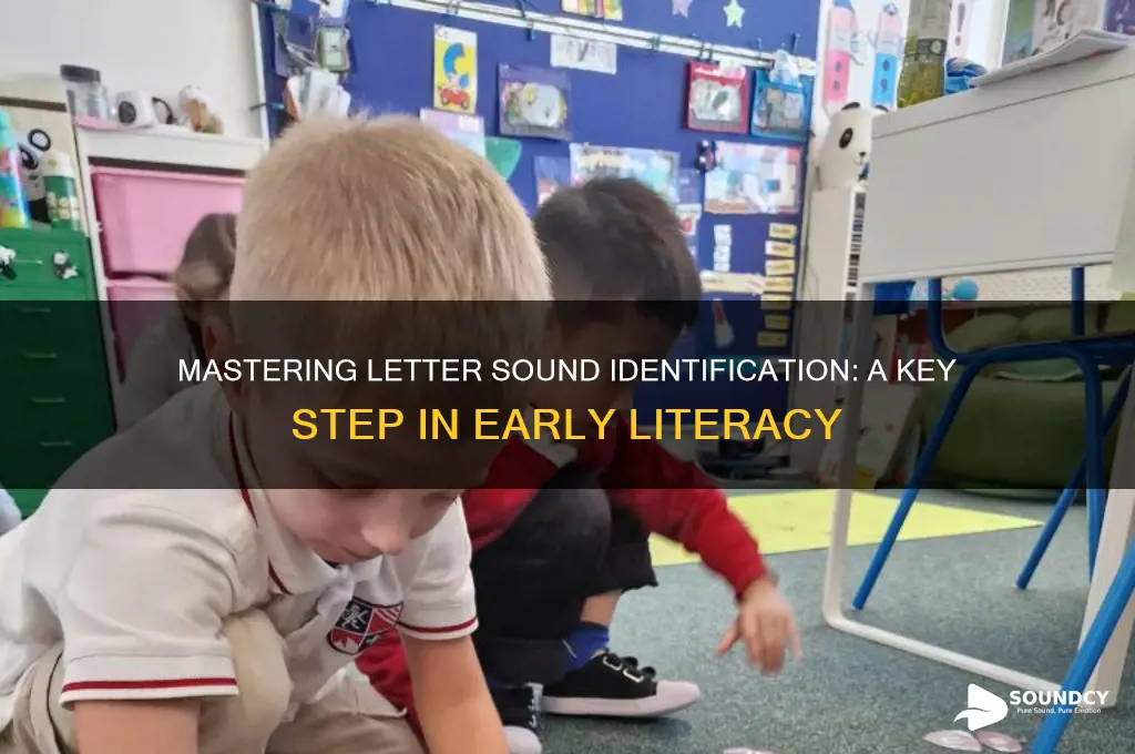 what is letter sound identification