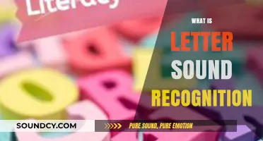 Mastering Letter Sound Recognition: A Key Step in Early Literacy Development