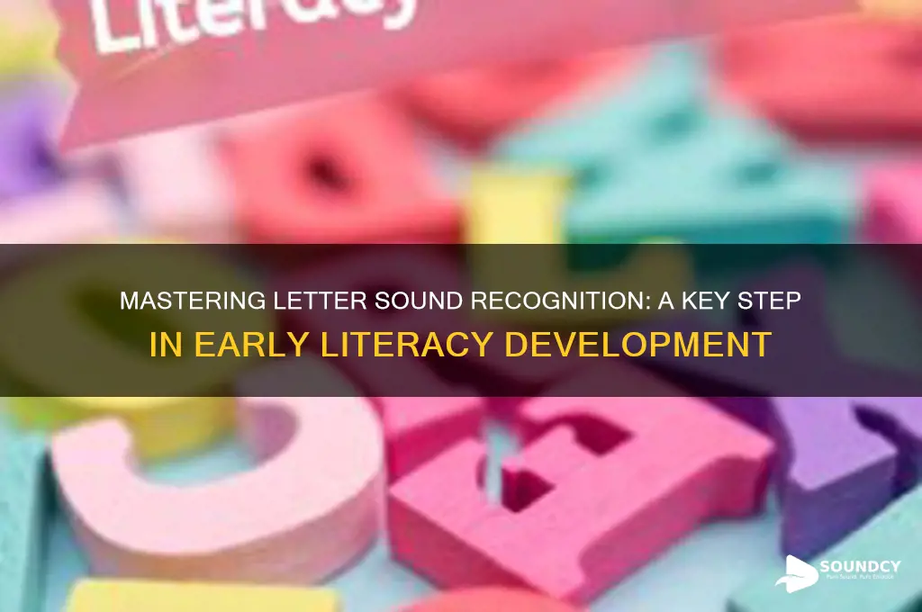 what is letter sound recognition