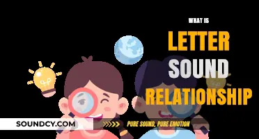 Understanding the Letter-Sound Relationship: A Foundation for Reading Success
