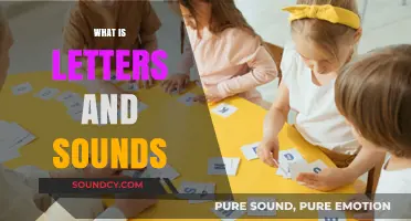 Unlocking Early Literacy: Understanding the Basics of Letters and Sounds