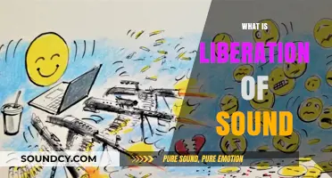 Liberation of Sound: Unveiling the Freedom of Auditory Expression