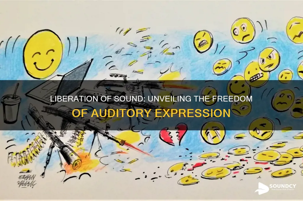 what is liberation of sound