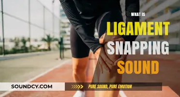Understanding the Ligament Snapping Sound: Causes, Concerns, and When to Seek Help