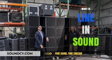 Understanding the Role of Line in Sound Production and Quality