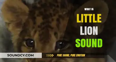 Unveiling the Unique and Enchanting Little Lion's Roar: A Sound Guide