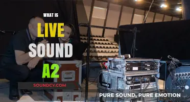 Understanding Live Sound A2: Roles, Responsibilities, and Essential Techniques