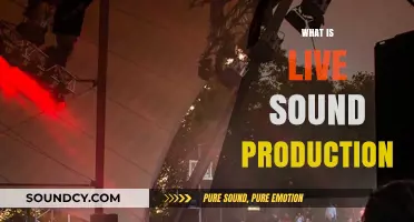 Mastering Live Sound Production: Techniques, Tools, and Best Practices