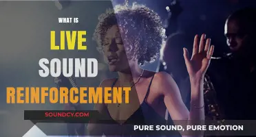 Understanding Live Sound Reinforcement: Enhancing Performances with Audio Technology