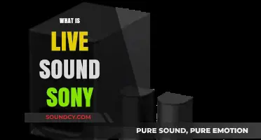 Understanding Live Sound Sony: Technology, Features, and Applications Explained