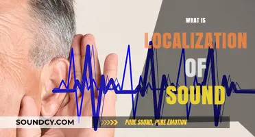 Understanding Sound Localization: How Our Ears Pinpoint Audio Sources