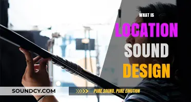 Exploring Location Sound Design: Crafting Immersive Audio Environments in Filmmaking