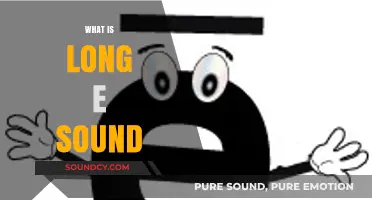 Understanding the Long E Sound: Phonics, Examples, and Teaching Tips