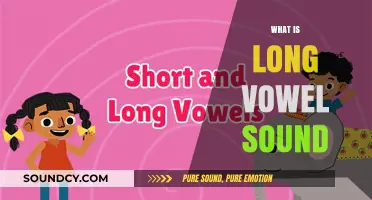 Understanding Long Vowel Sounds: A Comprehensive Guide to Pronunciation and Usage