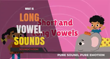 Mastering Long Vowel Sounds: A Comprehensive Guide to Pronunciation and Usage