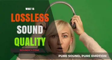 Understanding Lossless Sound Quality: Perfect Audio Preservation Explained