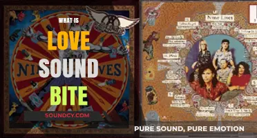 Decoding Love's Echo: Unraveling the Meaning Behind the Sound Bite