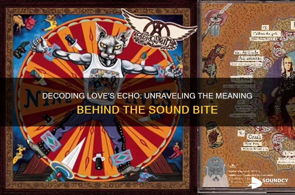 what is love sound bite
