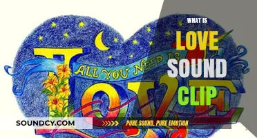 Exploring the Emotional Power of the 'What Is Love' Sound Clip