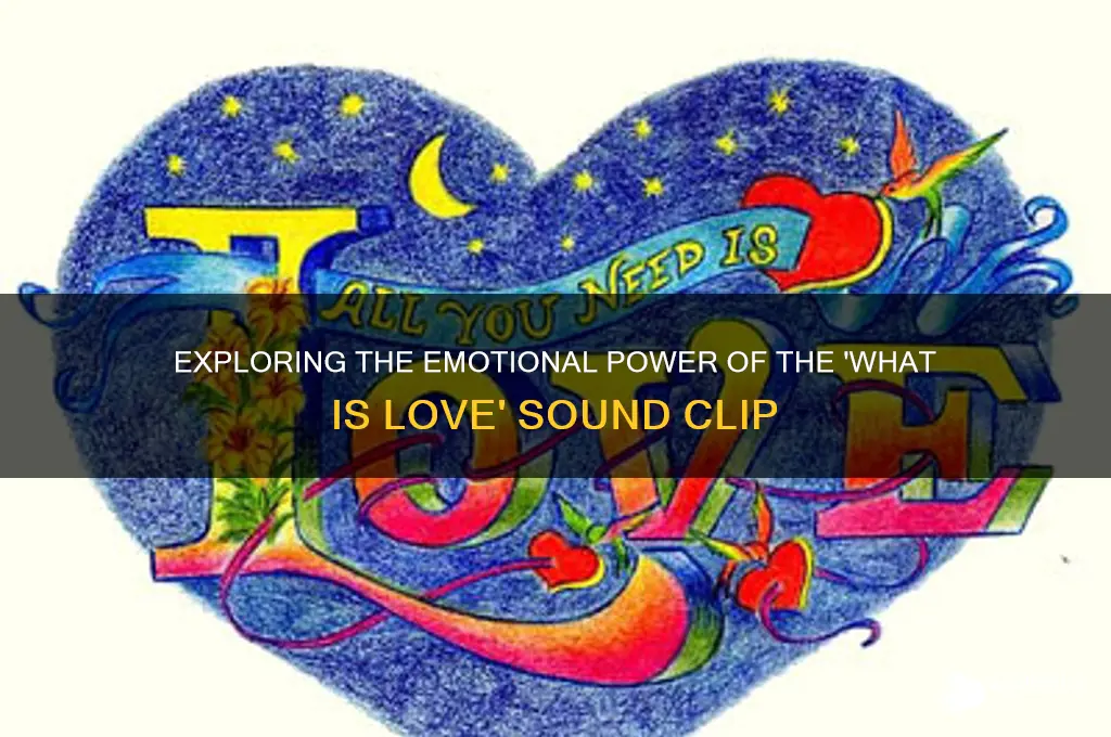what is love sound clip