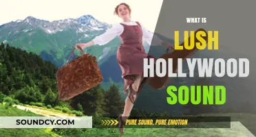 Unveiling the Rich, Cinematic Magic of Lush Hollywood Sound
