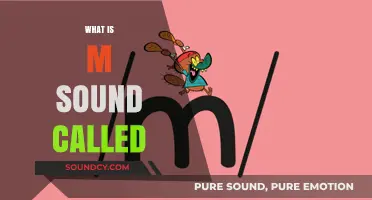 Unveiling the Mystery: What is the M Sound Called in Phonetics?