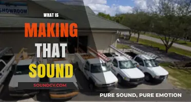 Unraveling the Mystery: What's Behind That Strange Sound?