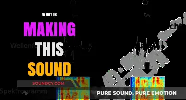 Unraveling the Mystery: Identifying the Source of That Intriguing Sound