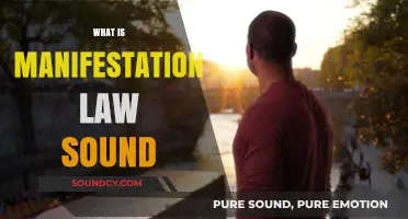 Understanding the Power of Manifestation Law Sound: A Beginner's Guide